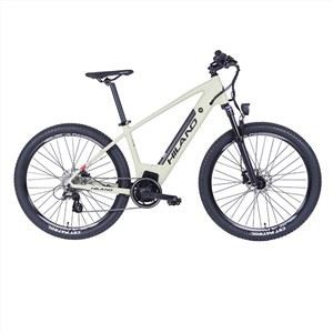 Leonard bicicleta de montanha elétrica