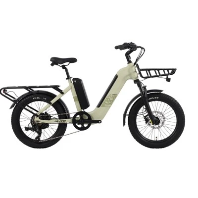 Bicicleta de pneu gordo de 20 polegadas 48V 500W Bateria dupla Ebike Bike Electric Bike com 2 cestas